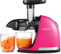 AMZCHEF Extracteur Jus - Extracteur de Jus de Fruits et Légumes - Presses-agrumes à Froid sans BPA avec 2 Tasses et Brosse - Fonction de Mastication Inversée pour Éviter les Blocages - Argent