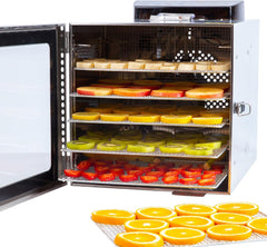 Vita5 Nobel Pro6 Deshydrateur Alimentaire avec 6 Plateaux en Inox - Déshydrateur avec Minuterie 24h et Température 35-75 °C - Deshydrateur Viande, Fruits, Champignons - 650W Déshydrateur Alimentaire