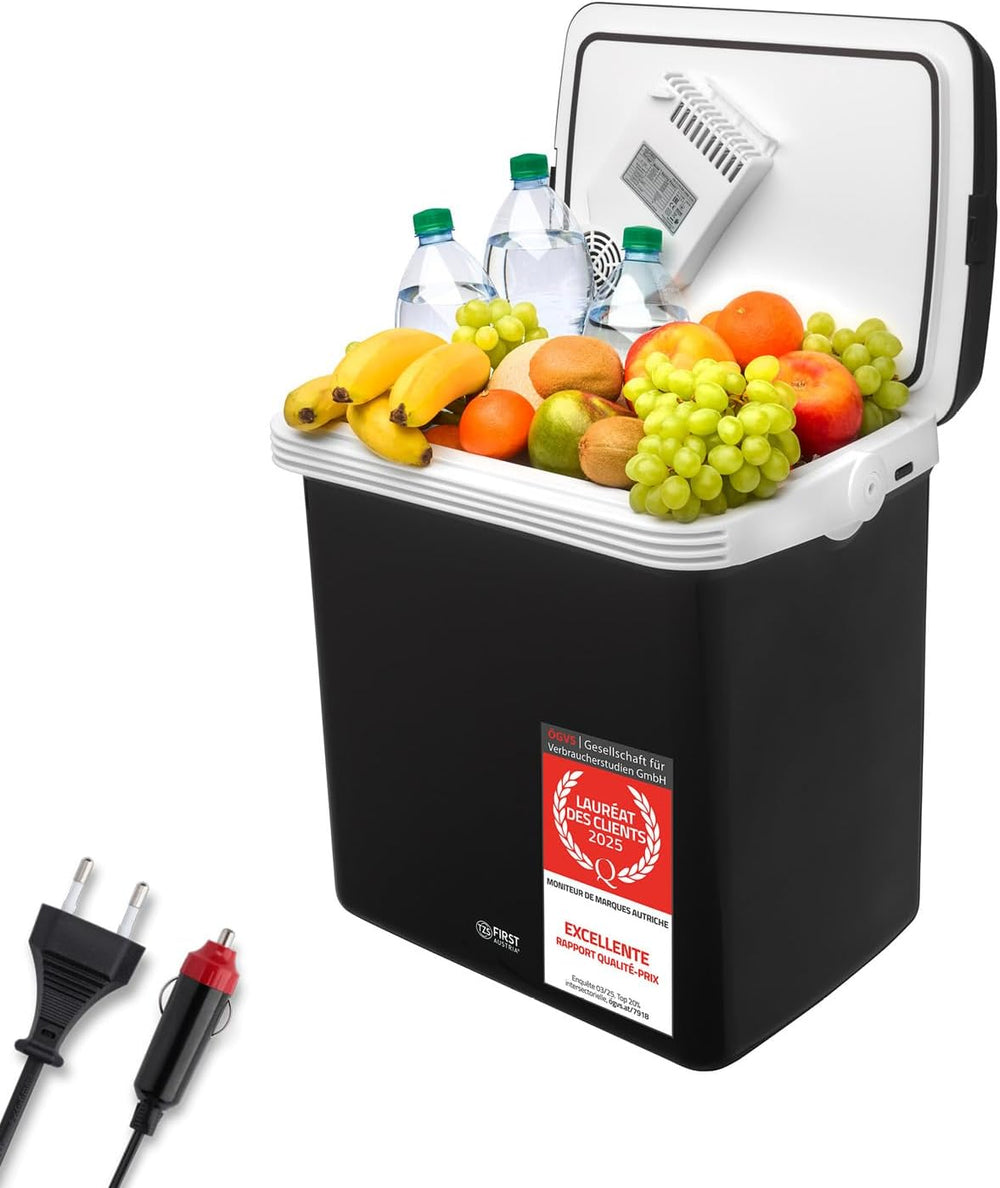 TZS First Austria 32L Portable Electric Cool Box Mini Fridge 12V 230V Car Camping Cooler Box Thermoelectric Cooler Box