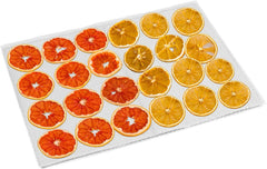 Kwasyo Food Dehydrator Stainless Steel 8 Trays Temperature Regulator 30-90°C 24H Timer Function BPA Free Dehydrator for Fruit, Meat, Vegetables