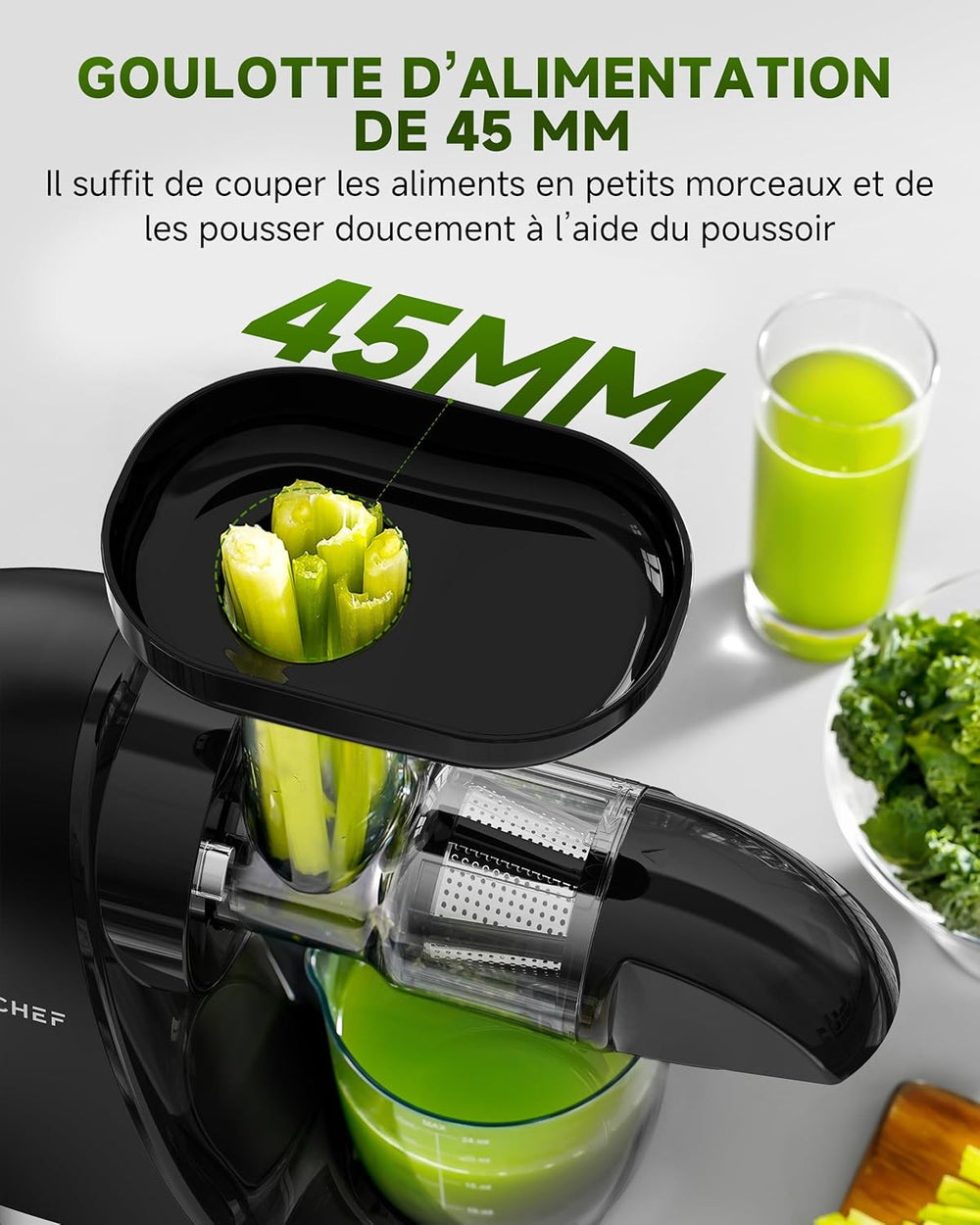 AMZCHEF Extracteur Jus - Extracteur de Jus de Fruits et Légumes - Presses-agrumes à Froid sans BPA avec 2 Tasses et Brosse - Fonction de Mastication Inversée pour Éviter les Blocages - Argent