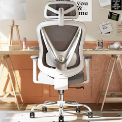 HOLLUDLE Chaise de Bureau Ergonomique avec Support Lombaire 3D & accoudoirs 3D réglables – Design en V du Dos, Fauteuil de Bureau Confortable pour Bureau et Maison, Blanc