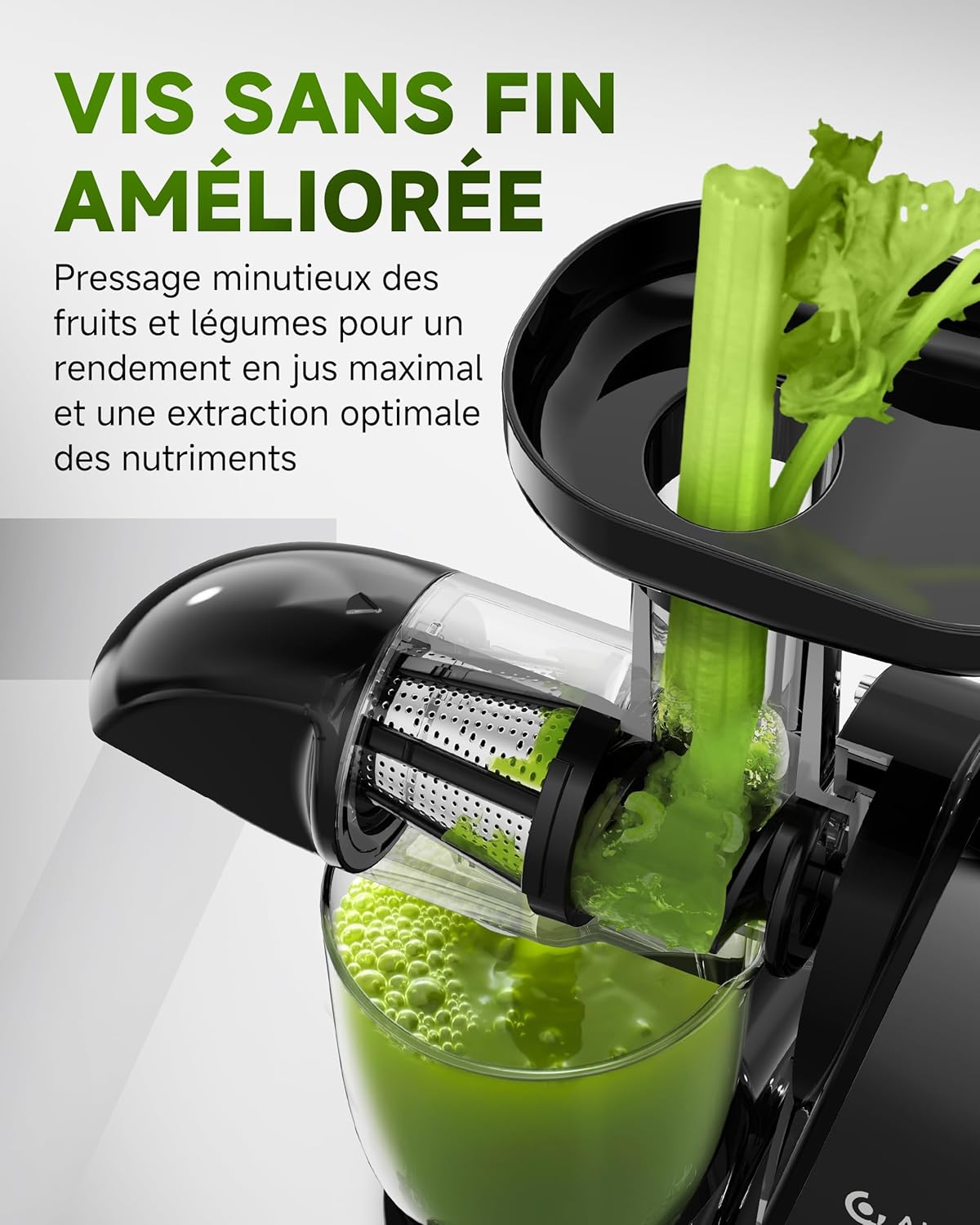 AMZCHEF Extracteur Jus - Extracteur de Jus de Fruits et Légumes - Presses-agrumes à Froid sans BPA avec 2 Tasses et Brosse - Fonction de Mastication Inversée pour Éviter les Blocages - Argent