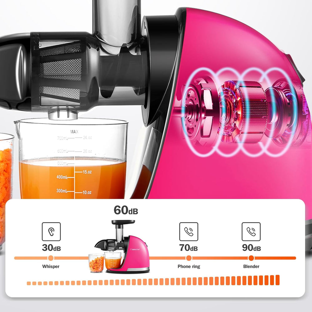 AMZCHEF Extracteur Jus - Extracteur de Jus de Fruits et Légumes - Presses-agrumes à Froid sans BPA avec 2 Tasses et Brosse - Fonction de Mastication Inversée pour Éviter les Blocages - Argent