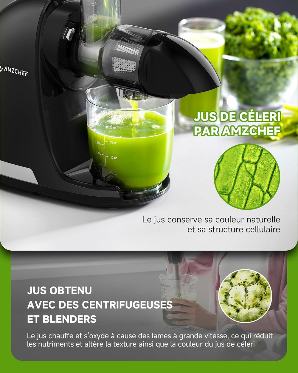 AMZCHEF Extracteur Jus - Extracteur de Jus de Fruits et Légumes - Presses-agrumes à Froid sans BPA avec 2 Tasses et Brosse - Fonction de Mastication Inversée pour Éviter les Blocages - Argent
