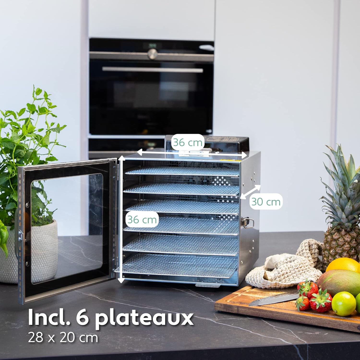 Vita5 Nobel Pro6 Deshydrateur Alimentaire avec 6 Plateaux en Inox - Déshydrateur avec Minuterie 24h et Température 35-75 °C - Deshydrateur Viande, Fruits, Champignons - 650W Déshydrateur Alimentaire