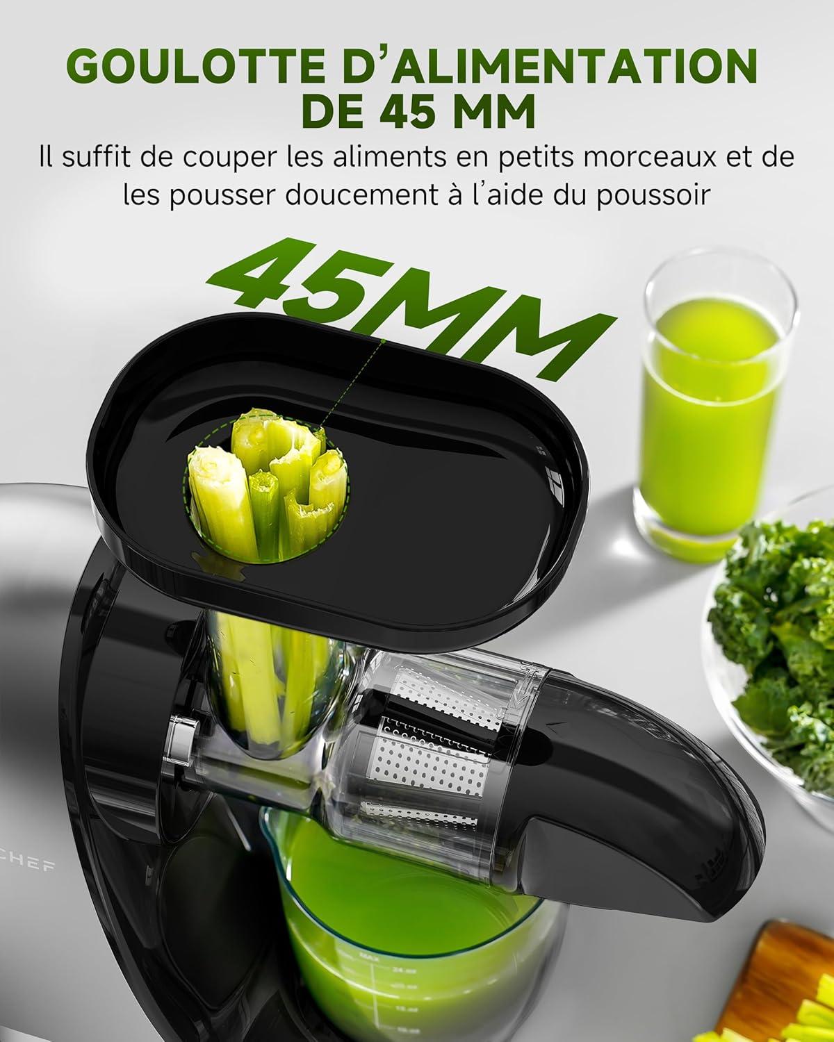 AMZCHEF Extracteur Jus - Extracteur de Jus de Fruits et Légumes - Presses-agrumes à Froid sans BPA avec 2 Tasses et Brosse - Fonction de Mastication Inversée pour Éviter les Blocages - Argent