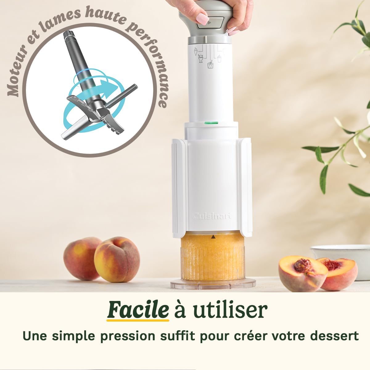 Cuisinart Sorbetière - Fait de la crème glacée, du gelato, du sorbet et du yogourt glacé en 40 minutes - Desserts maison - Facile à utiliser - Acier inoxydable - ICE100BCU