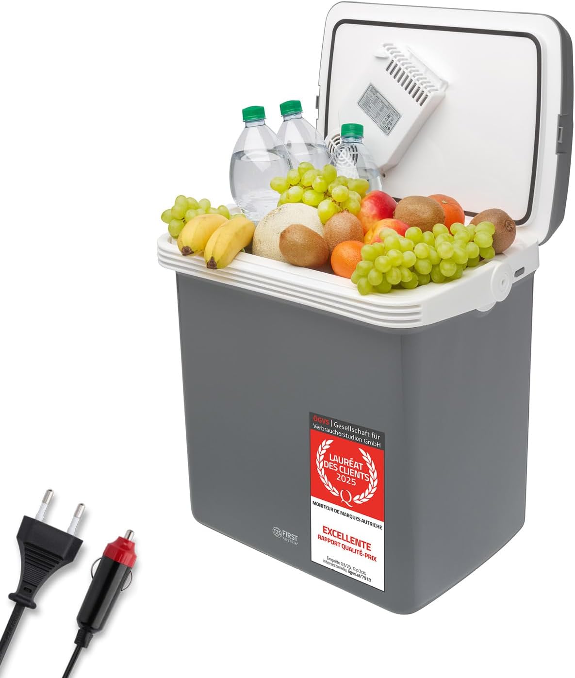 TZS First Austria 32L Portable Electric Cool Box Mini Fridge 12V 230V Car Camping Cooler Box Thermoelectric Cooler Box
