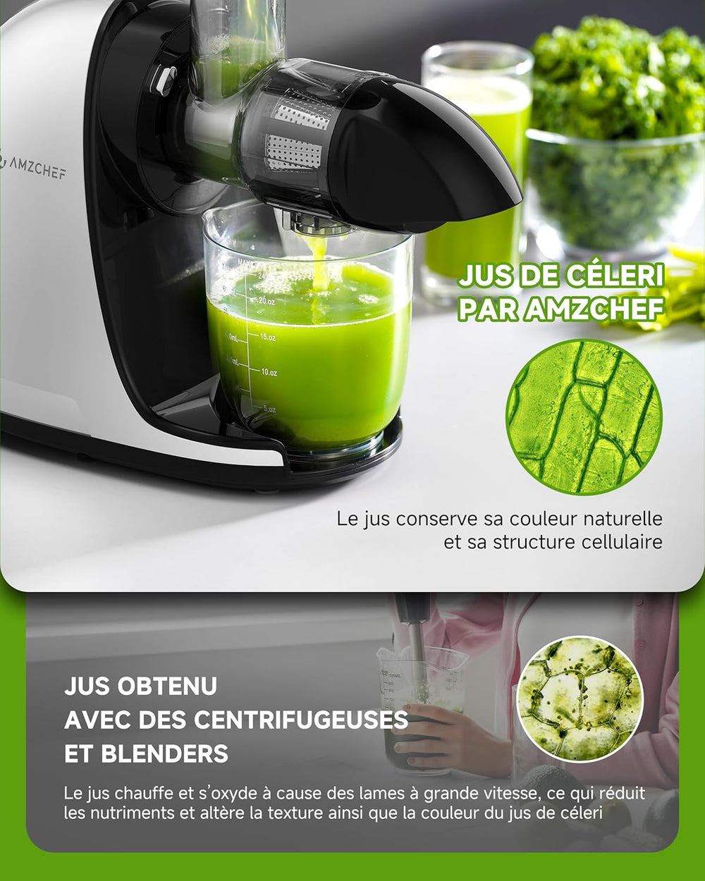 AMZCHEF Extracteur Jus - Extracteur de Jus de Fruits et Légumes - Presses-agrumes à Froid sans BPA avec 2 Tasses et Brosse - Fonction de Mastication Inversée pour Éviter les Blocages - Argent