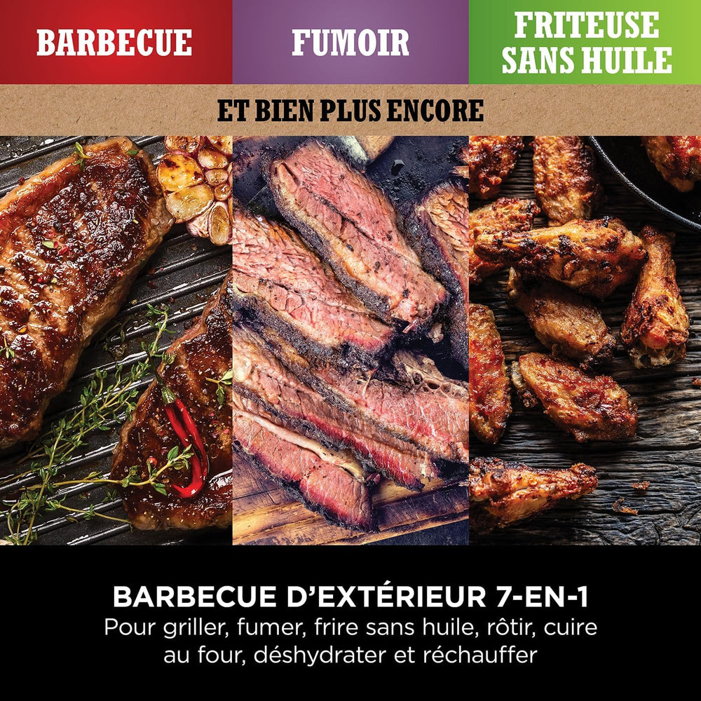 Ninja Woodfire Barbecue électrique et fumoir Pro XL avec thermomètre, barbecue et Air fryer d'extérieur 4-en-1 avec système Smart Cook et granulés Woodfire, portatif, gris/noir, OG850EU